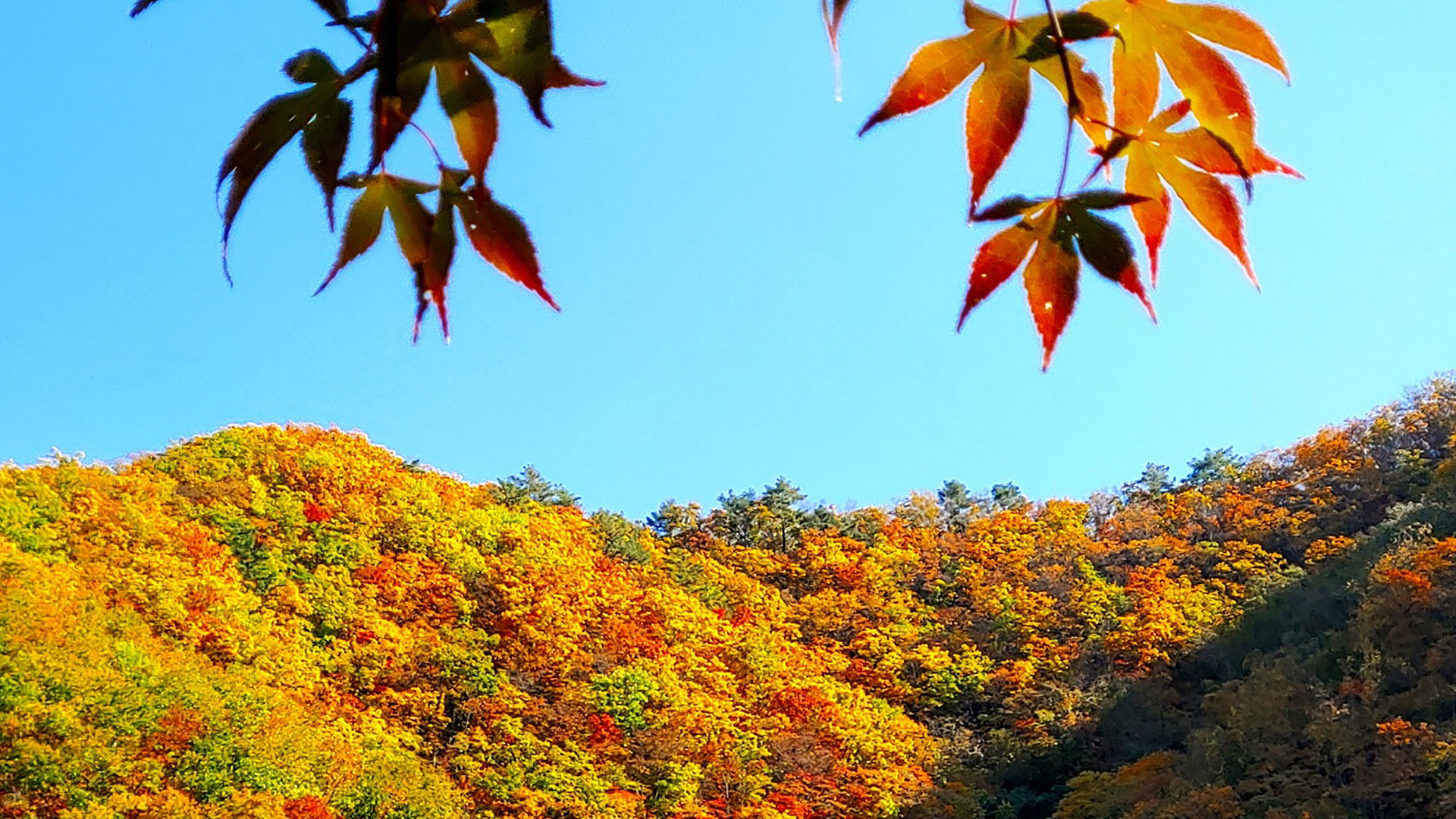 태백산국립공원 가을