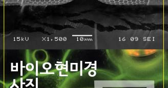 바이오현미경 사진전