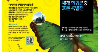세계희귀 곤충표본 특별전