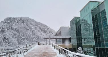 박물관의 겨울왕국~
