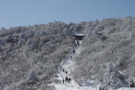 망경사에서 바라다본 단종비각