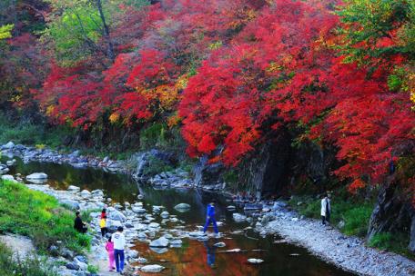 2009 태백사진공모전