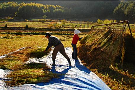 2009 태백 사진공모전