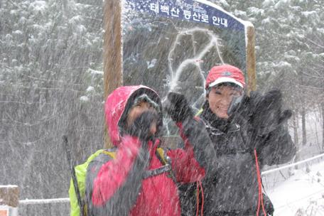 2009 태백사진공모전
