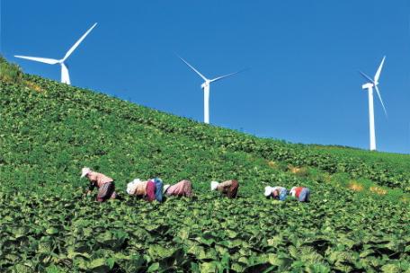 2009 태백사진공모전