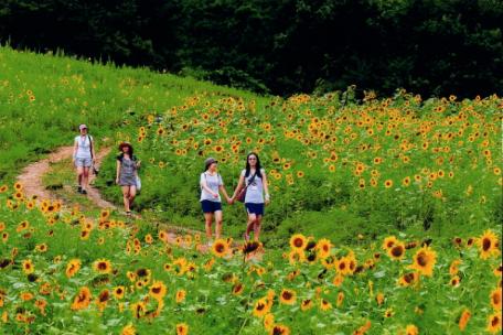 2010 태백사진공모전