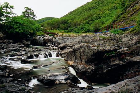 2010 태백사진공모전