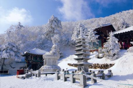 2010 태백사진공모전