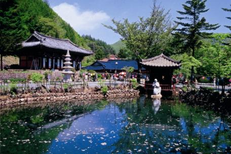 2010 태백사진공모전