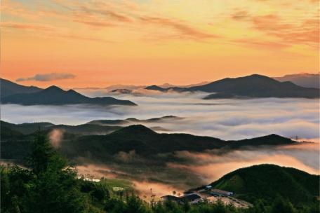 2010 태백사진공모전