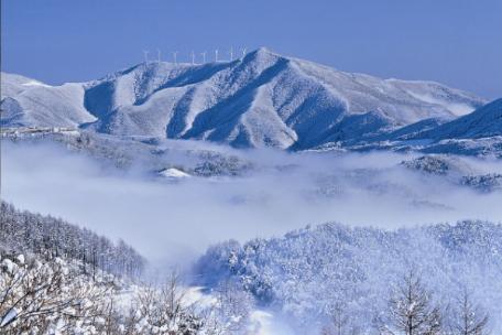 2010 태백사진공모전