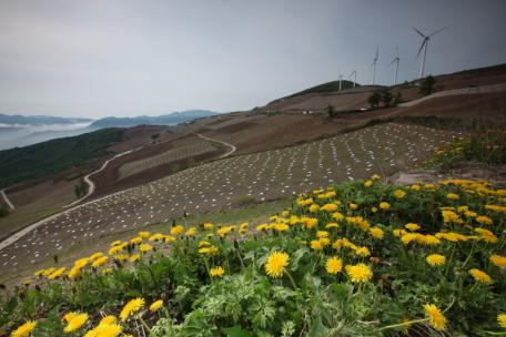 2011 태백관광전국사진 공모전