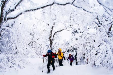 2018 태백관광전국사진 공모전