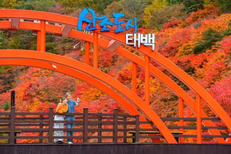 2020 태백관광전국사진 공모전