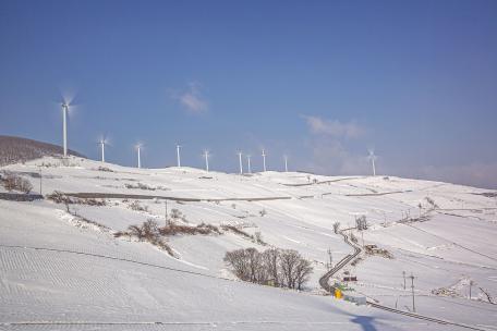 2020 태백관광전국사진 공모전