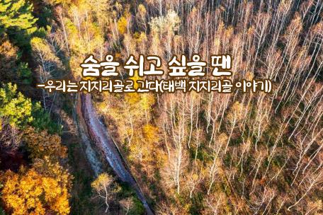 숨을 쉬고 싶을 땐 -우리는 지지리골로 간다(태백 지지리골 이야기)