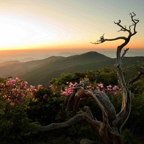 태백산 여명