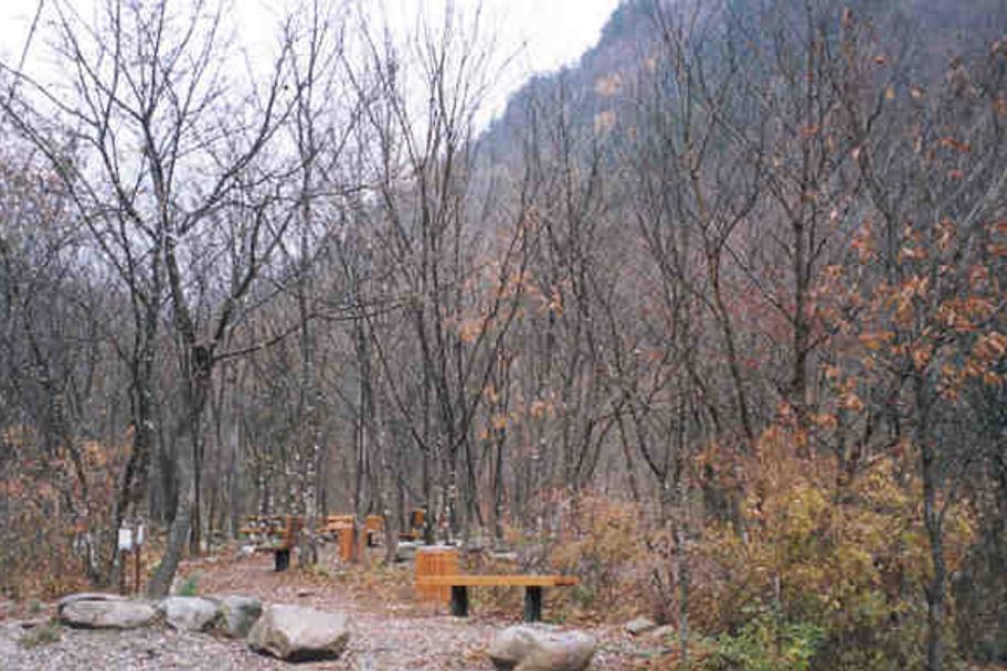 절골 사진 1