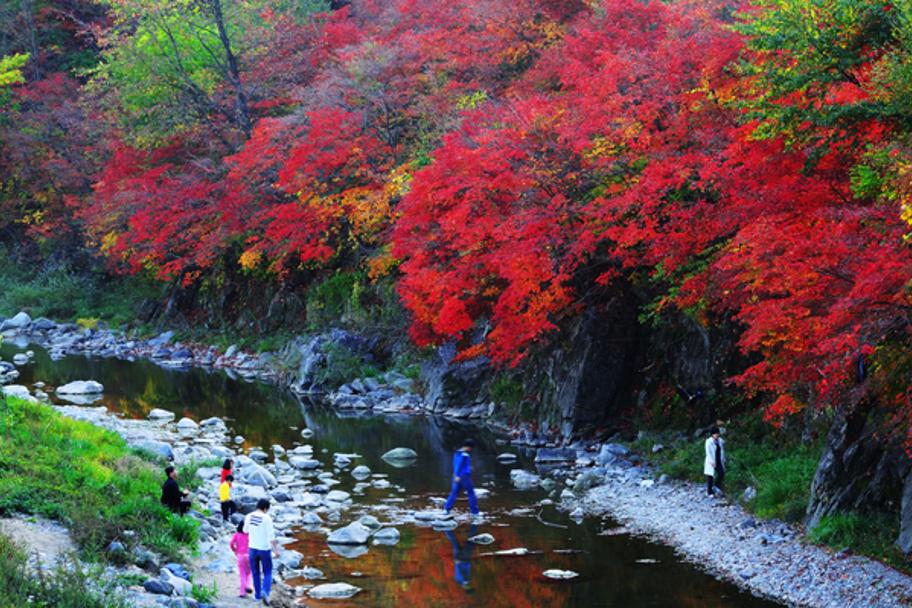 2009 태백사진공모전 사진 1