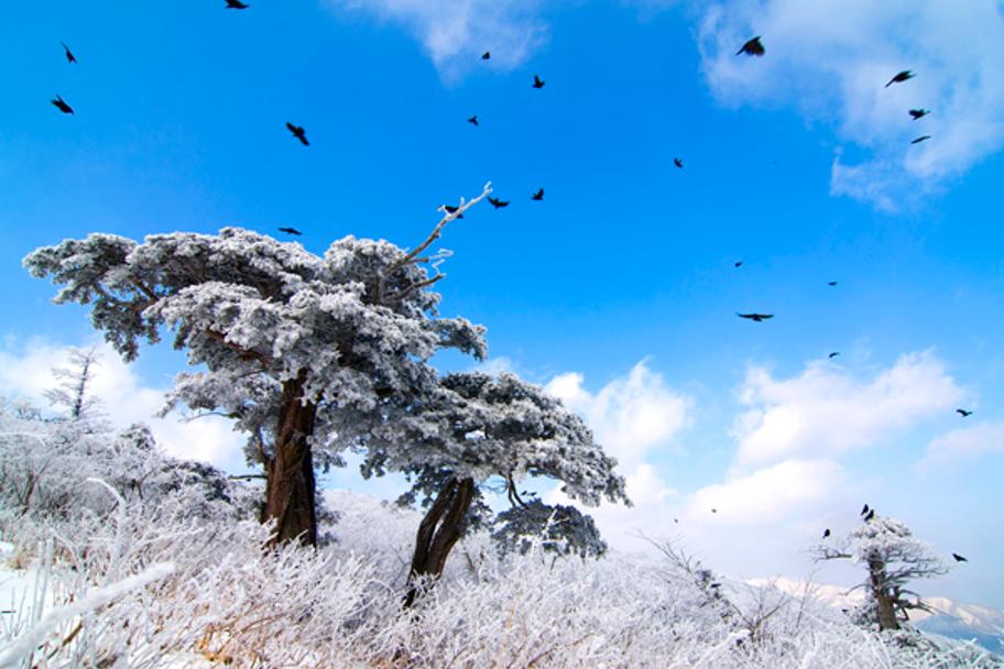 2009 태백사진공모전 사진 1