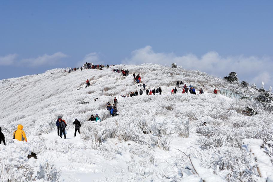태백산 겨울 풍경 사진 1