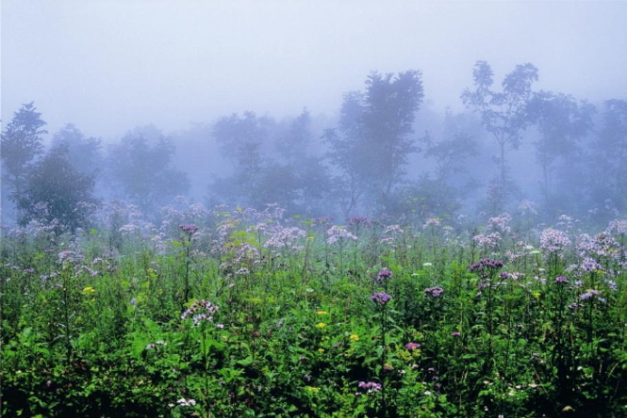 2010 태백전국사진공모전 사진 1