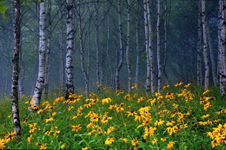 2010 태백전국사진공모전 사진 1