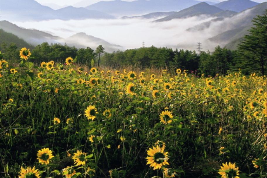 2010 태백전국사진공모전 사진 1