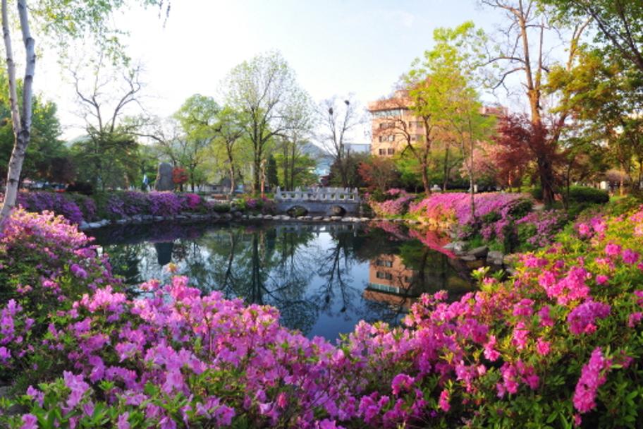 2011 태백관광전국사진 공모전 사진 1