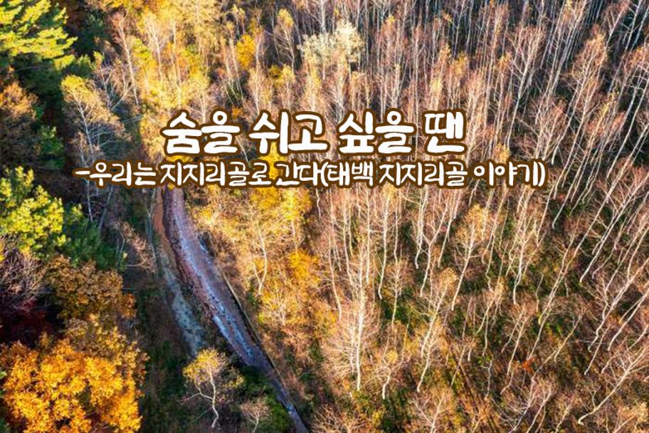 숨을 쉬고 싶을 땐 -우리는 지지리골로 간다(태백 지지리골 이야기) 사진 1