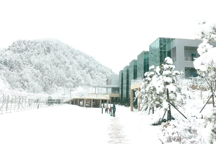 박물관의 눈과 제설...^^* 사진 2