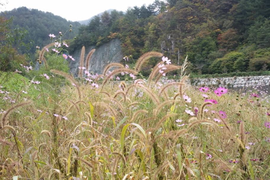 자연사박물관의 가을 사진 1