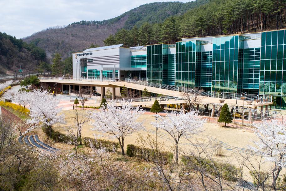 박물관의 봄 사진 1