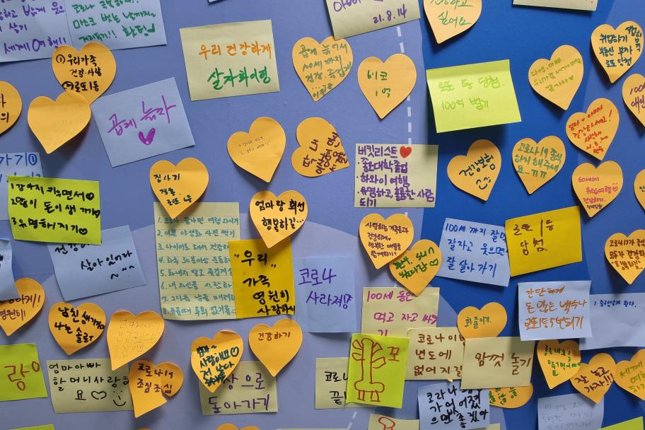 100세 이전에 하고픈 일 사진 3