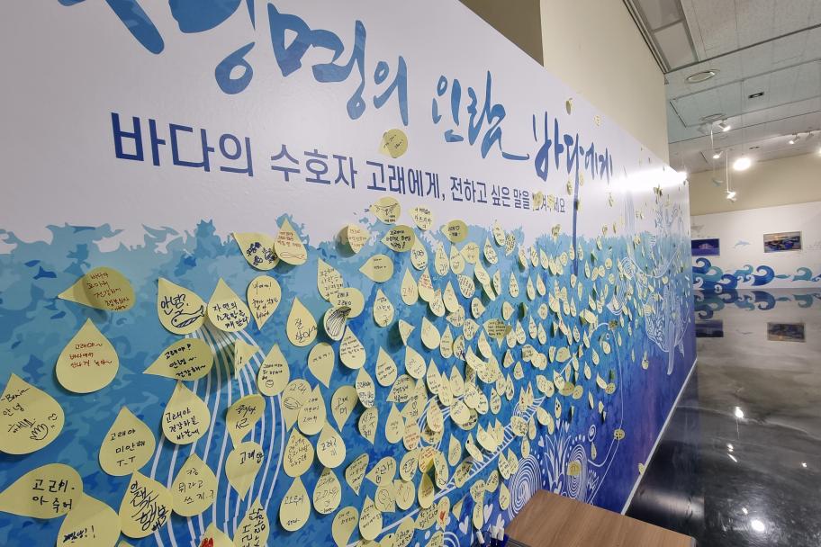바다의 수호자 고래에게 전하고 싶은 말을 남겨주세요 사진 1