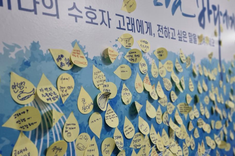바다의 수호자 고래에게 전하고 싶은 말을 남겨주세요 사진 2
