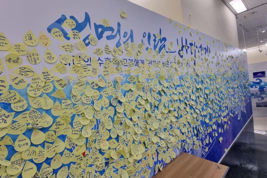고래에게 하고픈 이야기~ 사진 2