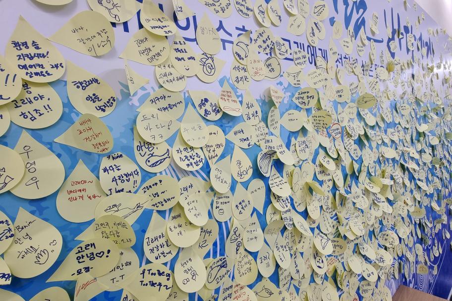 고래에게 하고픈 이야기~ 사진 3