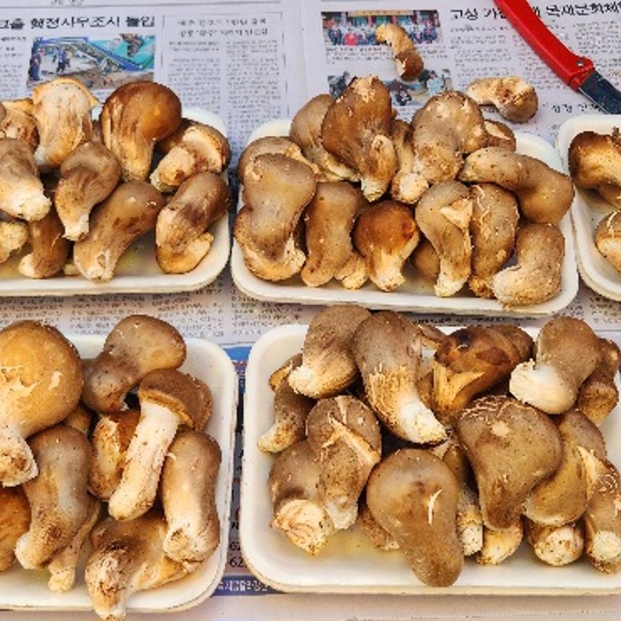20230805_095003.jpg ※ 자세한 사항은 본문 내용을 참조하시기 바랍니다.