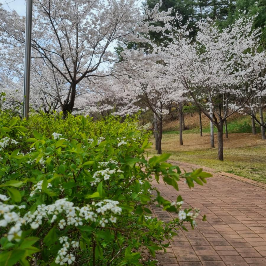 전경1 20260416_151046.jpg