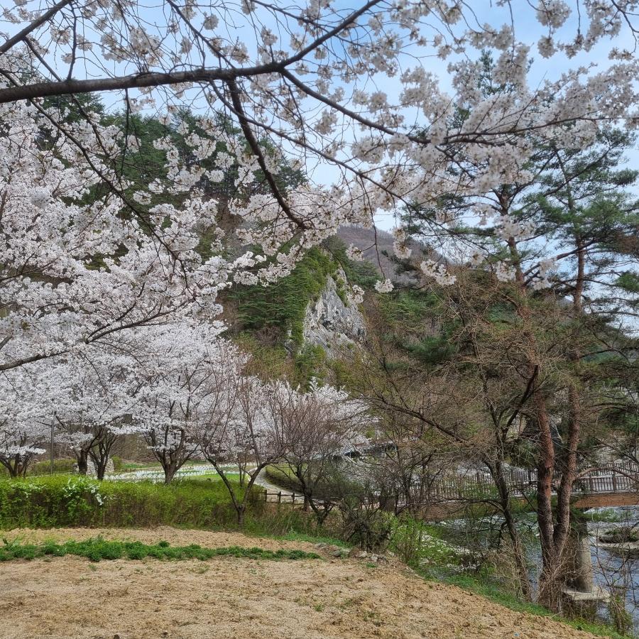 전경2 20260416_151137.jpg