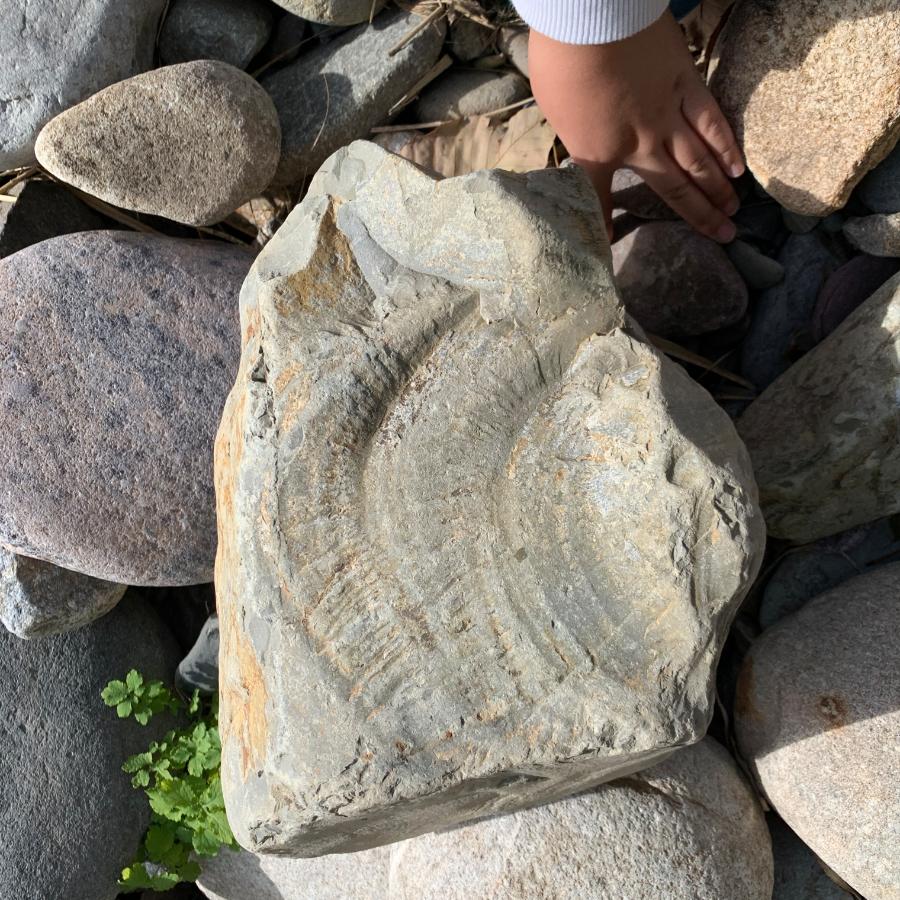 Stone.jpg ※ 자세한 사항은 본문 내용을 참조하시기 바랍니다.