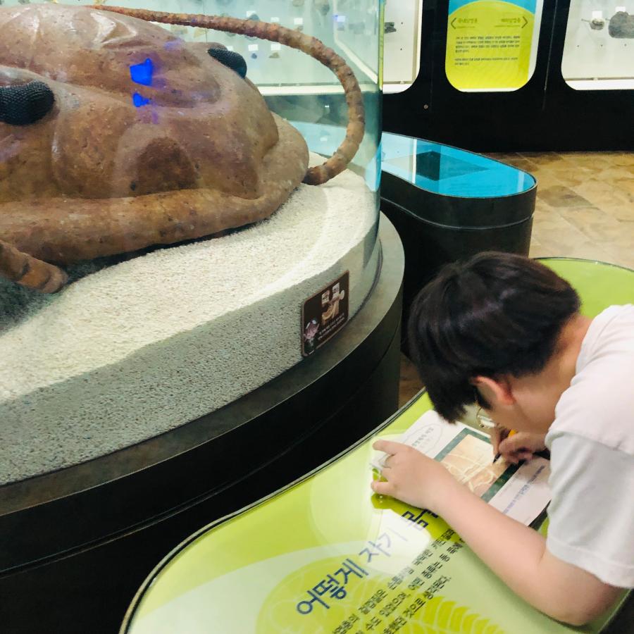 IMG_9151.jpeg ※ 자세한 사항은 본문 내용을 참조하시기 바랍니다.