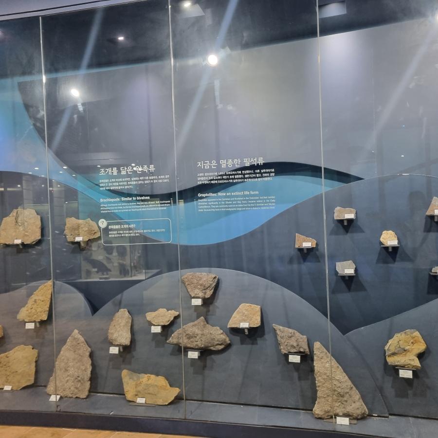 20250606_162851.jpg ※ 자세한 사항은 본문 내용을 참조하시기 바랍니다.