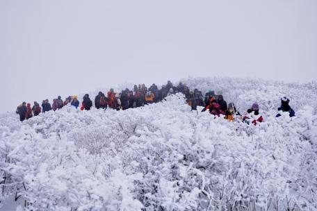 태백산 겨울 풍경