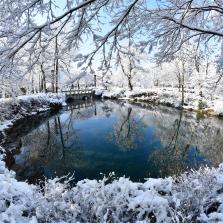 황지연못의 겨울