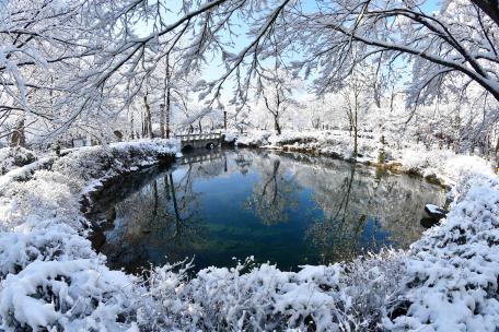 황지연못의 겨울