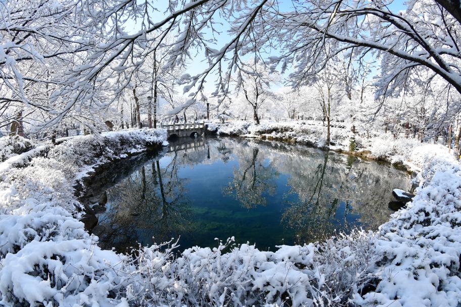 황지연못의 겨울 사진 1
